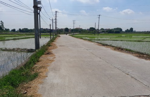 Bán nhà Thanh Lâm Mê Linh HN, ô tô tránh, ở ngay, DT 395m2 MT 20m, chỉ 10tr/m2.